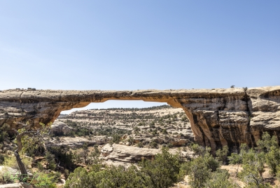 Natural Bridges Preserve June 2025